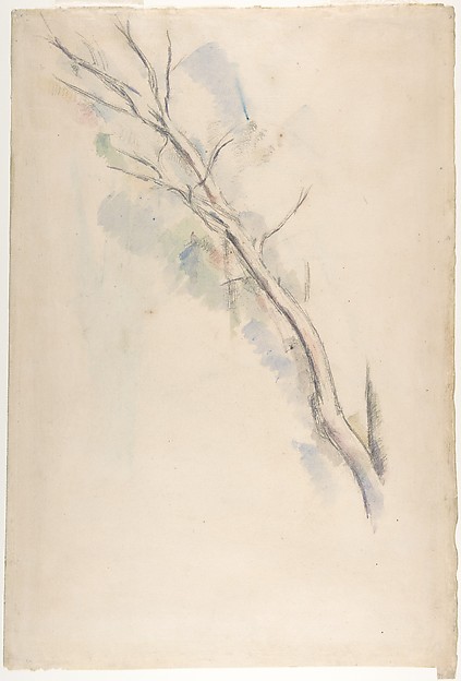 Studies of a tree (recto and verso)